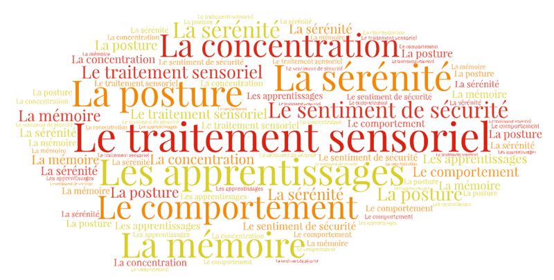 Quelques informations utiles